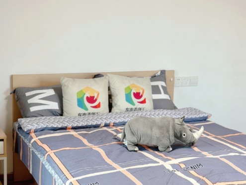 独栋·东南青年汇 奥体南门店 一居室独立阳台·可长租可短租可月付·没有中介费 1室1厅