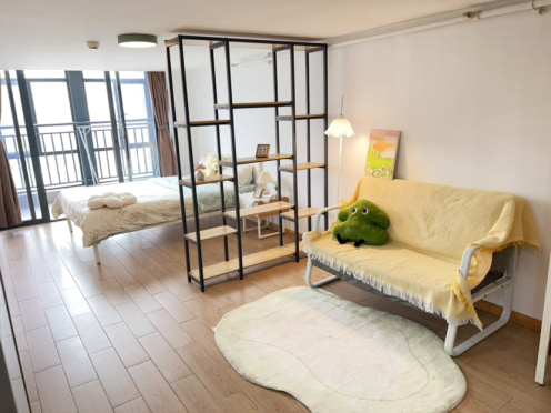 独栋·泊寓 魁奇路地铁站店 【毕业季钜惠】 车位100元 商场上盖 赠送搬家 电梯大阳台房 采光好 开间