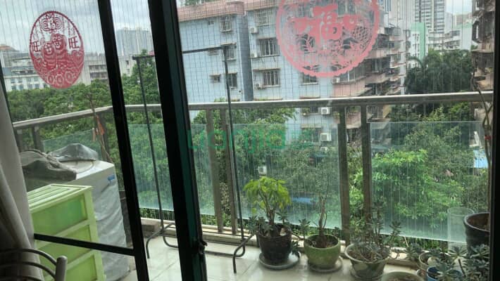 都市绿洲二手房实景图