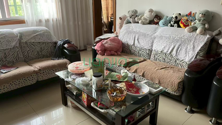 五三大道158号二手房实景图