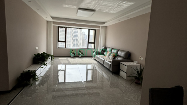 碧桂园时代天邑二手房实景图