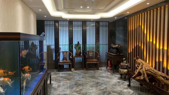 新星宇典约商誉二手房实景图