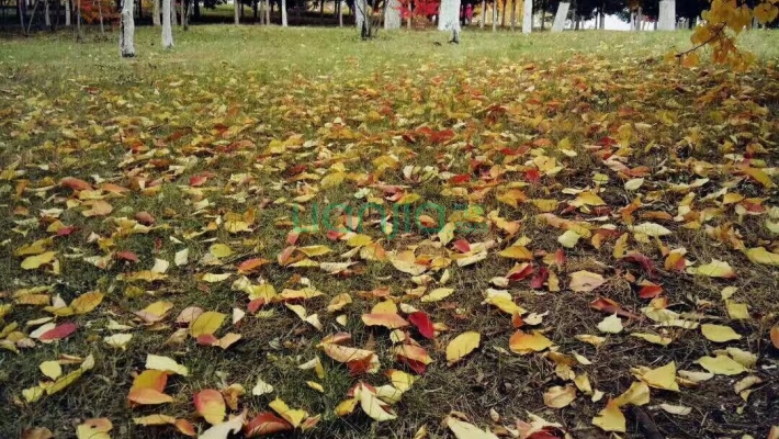 春城惠民示范小区二手房实景图