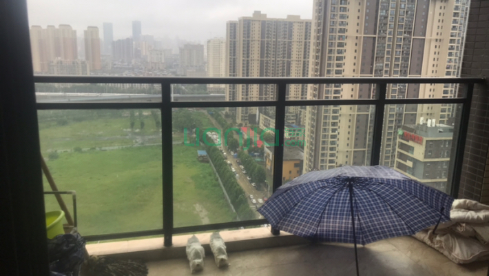 石桥花园A区二手房实景图